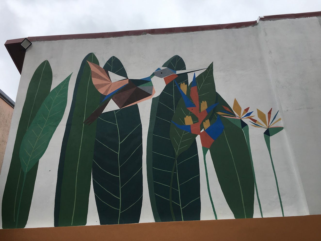Beija-flor Amazônico
